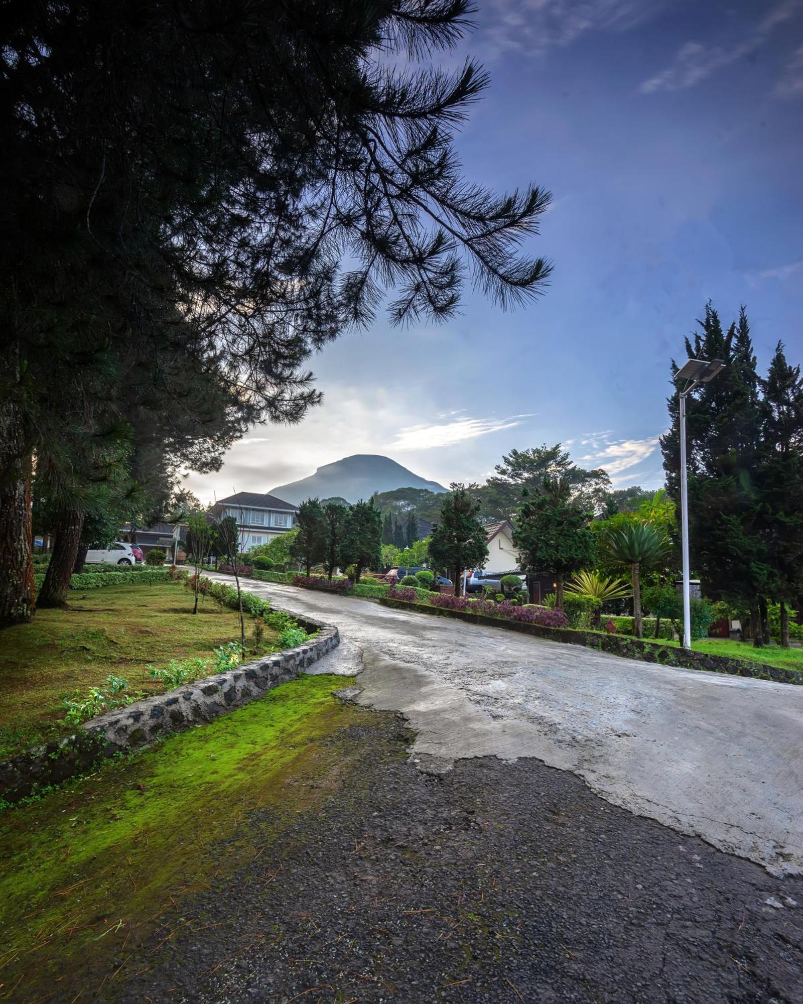 Tambi Tea Resort Kejajar Exterior foto